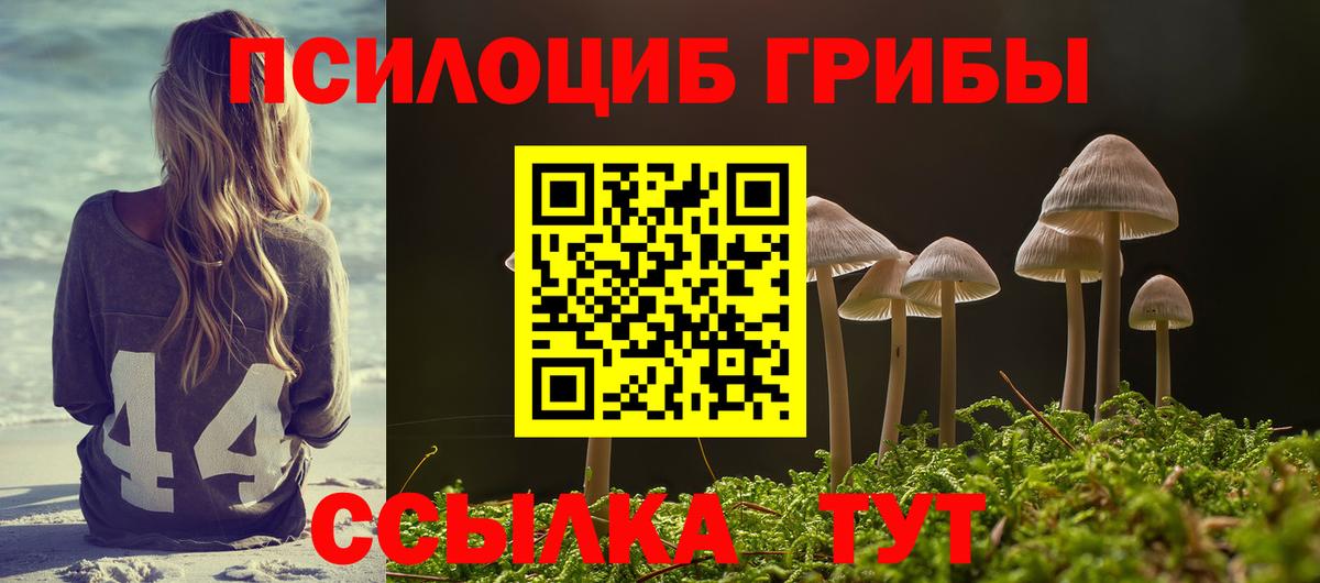 Строитель  наркошоп  Вход с VPN  Псилоцибиновые грибы Psilocybine cubensis 